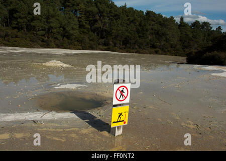 Die Primel-Terrasse ist die größte Sinter-Terrasse in Neuseeland. Es lagert sich die Kieselsäure aufgelöst in der Champagne Pool Stockfoto