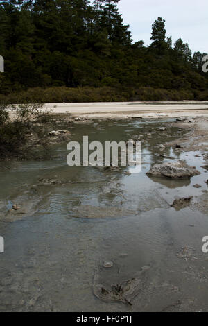 Pfanne flach im Bereich Wai-O-Tapu in Neuseeland ist ein Ausbruch Krater übersät mit sprudelnden Thermalquellen und Fumarolen Stockfoto