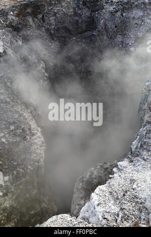 Geothermische Landschaft von Wai-O-Tapu Thermalbereich, Rotorua, Neuseeland. Stockfoto