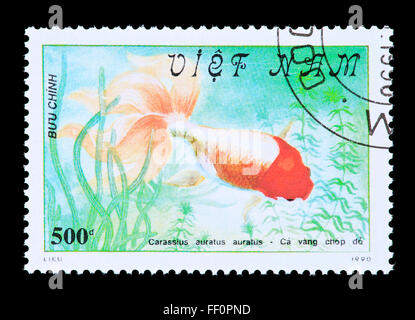 Briefmarke aus Vietnam Darstellung einen Goldfisch (Carassius Auratus) Stockfoto