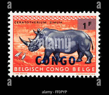 Überdruckte Briefmarke aus dem Kongo Darstellung ein Breitmaulnashorn (Ceratotherium Simum), für die Unabhängigkeit von Belgien Stockfoto