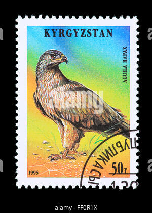 Briefmarke aus Kirgistan Darstellung einen Tawny Adler (Aguila Rapax) Stockfoto