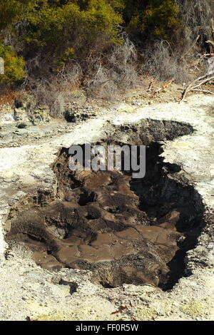 Geothermische Landschaft von Wai-O-Tapu Thermalbereich, Rotorua, Neuseeland. Stockfoto