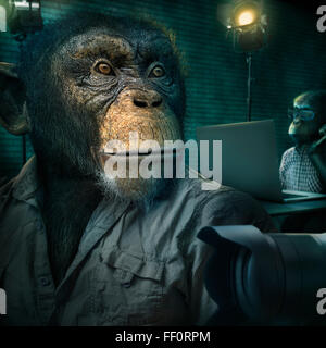 Affe sitzt in der Nähe von Kamera-Objektiv Stockfoto