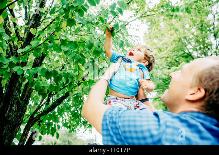 Vater anhebende Baby Sohn, Baum Stockfoto