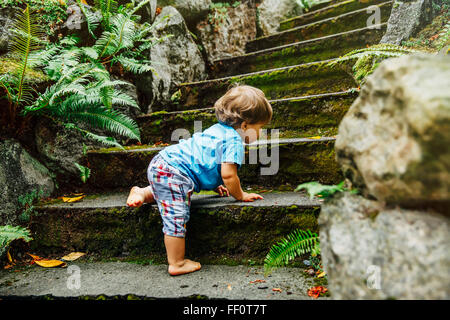 Gemischte Rassen Babyjungen Treppe klettern Stockfoto