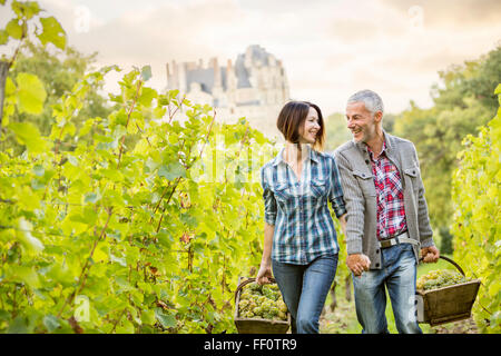 Kaukasischen Bauern tragen Trauben im Weinberg Stockfoto