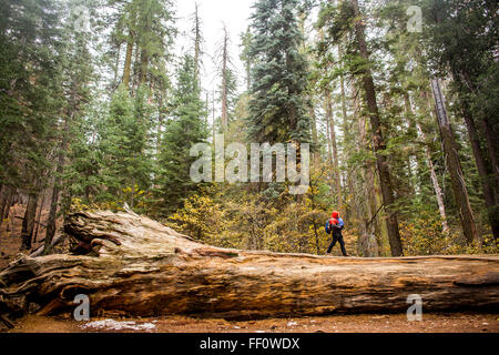 Kaukasische Mädchen zu Fuß im Yosemite Nationalpark, California, United States Stockfoto