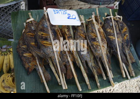 Gegrillter Fisch am Spieß, verkauft im Markt in Chiang Mai, Thailand Stockfoto