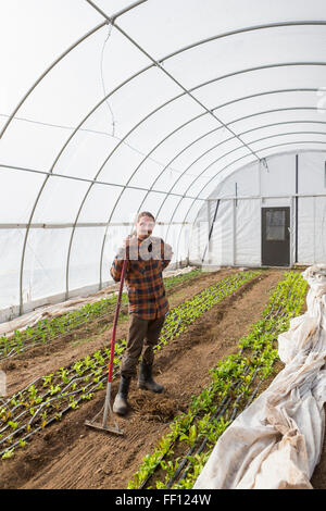 Kaukasische Landwirt im Gewächshaus stehen Stockfoto