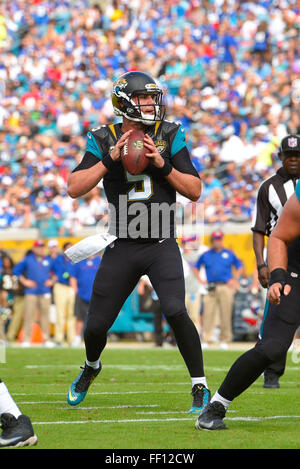 Jacksonville, FL, USA. 30. November 2014. Jacksonville Jaguars quarterback Blake Bortles (5) bei einem NFL-Spiel gegen die New York Giants im EverBank Field am 30. November 2014 in Jacksonville, Florida. Die Jaguars gewann 25-24.ZUMA Presse/Scott A. Miller © Scott A. Miller/ZUMA Draht/Alamy Live News Stockfoto