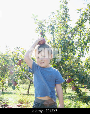 Junge Ausgleich Apfel auf den Kopf im Obstgarten Stockfoto