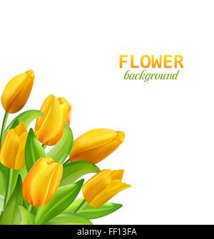 Reihe von Bannern mit bunten Blumen. Vektor-Illustration. Stock Vektor