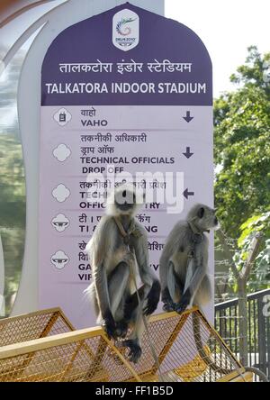 Peking, China. 10. Februar 2016. Zwei Affen halten Wache auf einem Zaun in einem Commonwealth Games in Indien, 29. September 2010. 2016 markiert das Jahr des Affen im chinesischen Kalender. Clevere Affen bringen oft unerwartete Unterhaltung Geist in die Sportarena. © Xinhua/Alamy Live-Nachrichten Stockfoto