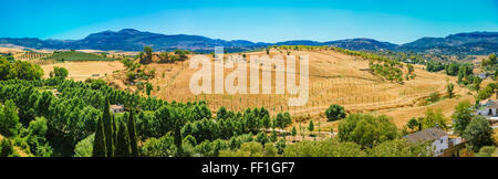 Panorama Sommer andalusischen Landschaft in der Nähe von Ronda, Provinz Málaga, Spanien Stockfoto