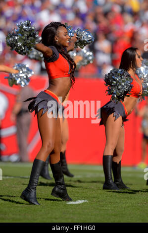 Tampa, FL, USA. 26. Oktober 2014. Tampa Bay Buccaneers Cheerleader in einem Spiel gegen die Minnesota Vikings im Raymond James Stadium in Tampa, Florida am 26. Oktober 2014. Die Wikinger gewonnen 19-13 im OT. ZUMA PRESS/Scott A. Miller © Scott A. Miller/ZUMA Draht/Alamy Live-Nachrichten Stockfoto