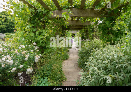 Pergola Tunnel gefüllt mit Werken in Hestercombe historische Gärten Somerset Stockfoto