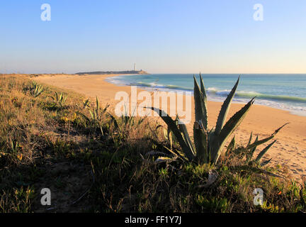 Sandstrand und Leuchtturm am Cabo de Trafalgar, Provinz Cadiz, Spanien Stockfoto