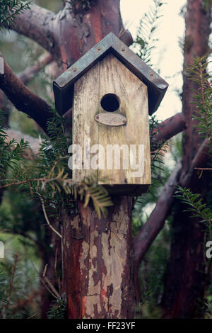 hölzerne Vogelhäuschen auf einem Baum Stockfoto