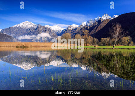Das Naturschutzgebiet Pian di Spagna überflutet mit schneebedeckten Gipfeln spiegelt sich im Wasser, Valtellina, Lombardei, Italien, Europa Stockfoto