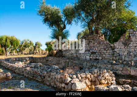 Ruinen der römischen Stadt Cosa, Ansedonia, Roman Forum Provinz Grosseto, Toskana, ItaRMy, Europa Stockfoto