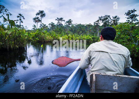 Einbaum-Kanu-Boot fahren in schmale Wasserstraße, Amazonas-Regenwald, Coca, Ecuador, Südamerika Stockfoto