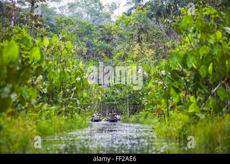 Amazonas-Regenwald Einbaum fahren, Sacha RModge, Coca, Ecuador, Südamerika Stockfoto