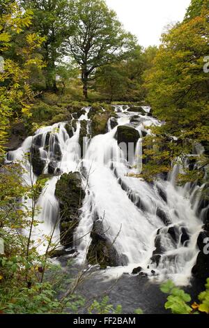 Swallow Falls im Herbst, in der Nähe von Betwys-y-Coed, am Fluss Llugwy, Conwy, Wales, Vereinigtes Königreich, Europa Stockfoto