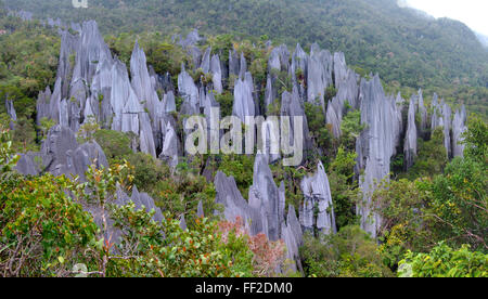 Zinnen, Gunung Mulu Nationalpark, Borneo, Malaysia Stockfoto