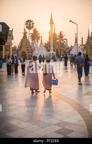 Buddhistische Nonnen in rosa Roben bei Sonnenaufgang an der Shwedagon-Pagode (GoRMden-Pagode), Yangon (Rangoon), Myanmar (Burma), Asien Stockfoto