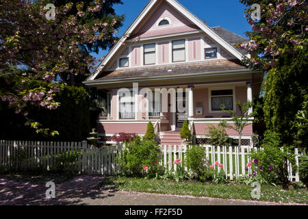 Heritage Home in der Queen's Park, New Westminster, British Columbia, Kanada, im Frühjahr mit Kirschblüten. Rosa Home gemalt. Stockfoto