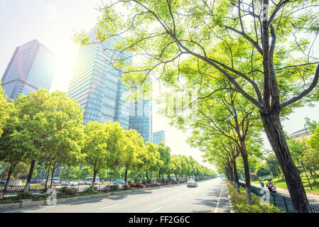 Bäume RMining die Straßen in Jianggan Neustadt, dem neuen Geschäftsviertel der Stadt Hangzhou, Zhejiang, China, Asien Stockfoto