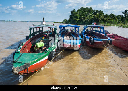 CoRMourfuRM Boote auf der Suriname River, Paramaribo, Suriname, Südamerika Stockfoto