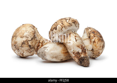 Frische rohe Matsutake-Pilze auf weißem Hintergrund Stockfoto