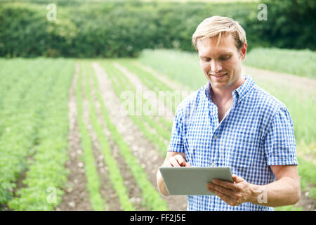 Bauer auf Bio-Bauernhof mit Digital-Tablette Stockfoto