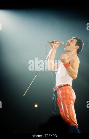 LEIDEN, Niederlande - 27. November 1980: Freddy Mercury Sänger der britischen Band Queen während eines Konzerts in der Groenoordhallen in L Stockfoto