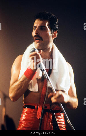 LEIDEN, Niederlande - 27. November 1980: Freddy Mercury, Sänger der britischen Band Queen während eines Konzerts in der Groenoordhallen Stockfoto