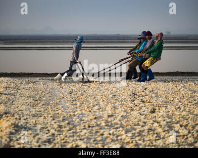 Ban Laem, Phetchaburi, Thailand. 10. Februar 2016. Ein Team von Mitarbeitern häufen Salz in einem Salz Feld am Anfang der Ernte in der Provinz Phetchaburi, Thailand. Die Salzernte in Thailand in der Regel im Februar beginnt und dauert bis Mai. Salz wird geerntet, in vielen Provinzen entlang der Küste, aber die Salzfelder in Phetchaburi Provinz gelten die produktivste. Die Salzfelder werden überflutet mit Meerwasser, der so dass verdunstet Salz hinter. Salzproduktion setzt auf trockenes Wetter und Produzenten hoffen, dass die aktuelle Dürre eine längere Erntezeit für sie bedeuten wird. (Cr Stockfoto