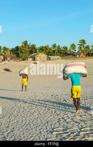 Madagassischen Fischer Sammlung getrockneter Fisch am Strand, Morondava, Provinz Toliara, Madagaskar Stockfoto