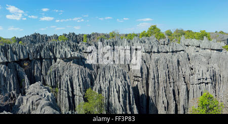 Felsformation, Tsingy de Bemaraha Nationalpark, UNESCO-Weltkulturerbe, Bekopaka, Provinz Majunga, Madagaskar Stockfoto