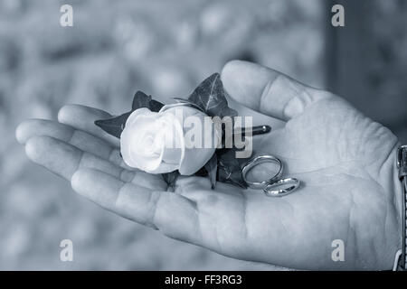 Nahaufnahme der Rose und Silber Ringe auf der einen Seite Stockfoto