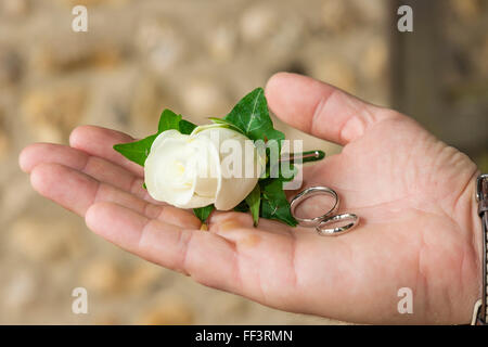 Nahaufnahme der Rose und Silber Ringe auf der einen Seite Stockfoto