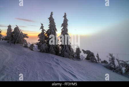 Pastell Holzplanken Textur Hintergrund Stockfoto