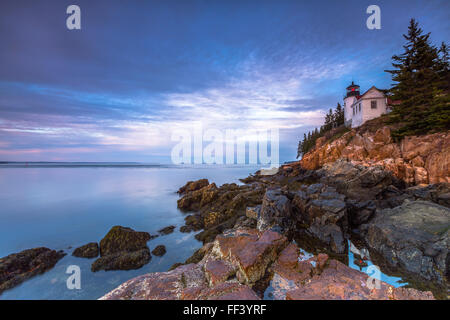 Die kultigen Bass Harbor Head Lighthouse eine Tidepool bei Sonnenaufgang im Acadia National Park, Mount Desert Island, Maine spiegelt sich in Stockfoto