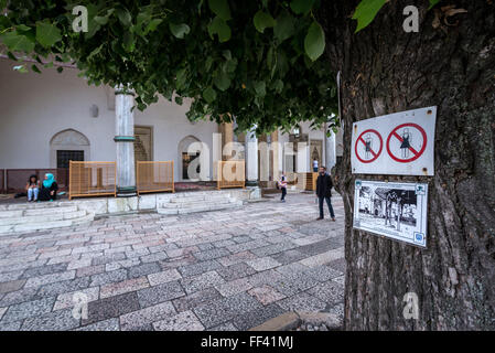 keine Anzeichen auf einen Innenhof der Gazi-Husrev-beg-Moschee in Sarajevo, die größte historische Moschee in Bosnien und Herzegowina Stockfoto