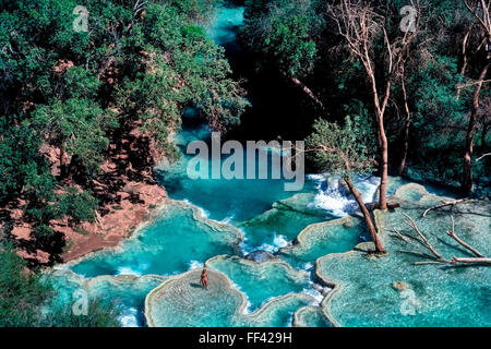 Schönes und Erfrischendes türkisfarbenen Pools an der Basis des Havasu Wasserfall ziehen Besucher zu den isolierten Havasupai Indian Reservation, grenzt an den Grand Canyon Nationalpark in Arizona, USA. Eine hohe Konzentration von Kalziumkarbonat im Wasser führt zu Seinem lebendigen Blau-grüne Farbe und die natürliche Travertin Dämme, dass diese einladenden Pools bilden. Die Havasupai tribal Name bedeutet entsprechend "Menschen des blau-grünen Wasser". Stockfoto