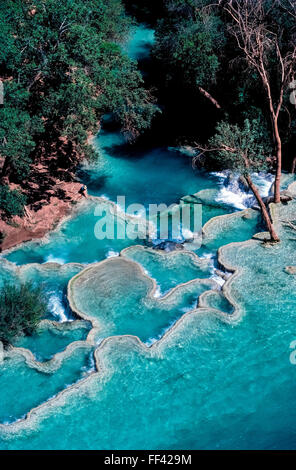 Schönes und Erfrischendes türkisfarbenen Pools an der Basis des Havasu Wasserfall ziehen Besucher zu den isolierten Havasupai Indian Reservation, grenzt an den Grand Canyon Nationalpark in Arizona, USA. Eine hohe Konzentration von Kalziumkarbonat im Wasser führt zu Seinem lebendigen Blau-grüne Farbe und die natürliche Travertin Dämme, dass diese einladenden Pools bilden. Die Havasupai tribal Name bedeutet entsprechend "Menschen des blau-grünen Wasser". Stockfoto