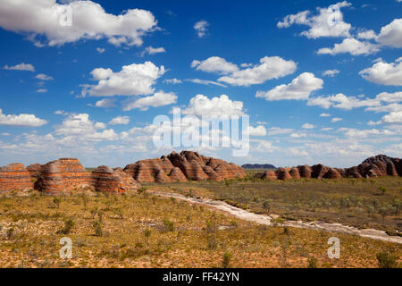 Der Purnululu National Park in Westaustralien an einem sonnigen Tag. Stockfoto