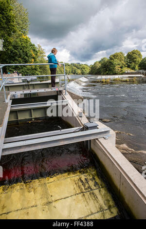 Investoren und Einheimischen zu Fuß entlang der Wassereingang Halton Lune Hydro, eine Gemeinde im Besitz Projekt für erneuerbare Energien, Halton, Lancashire. Stockfoto