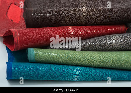 Stingray exotische Leder, Fell, Felle in 5 Farben Stockfoto